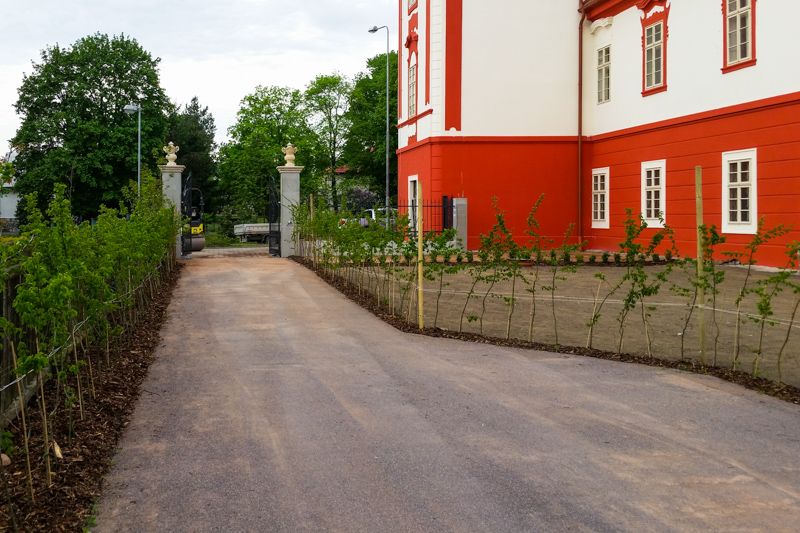 Zámecký park v Luštěnicích, revitalizace zahrady.
