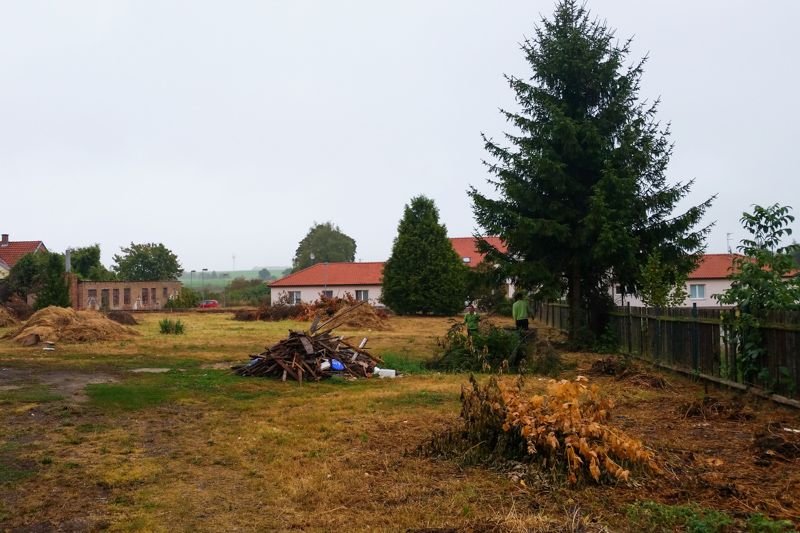 Zámecký park v Luštěnicích, revitalizace zahrady.