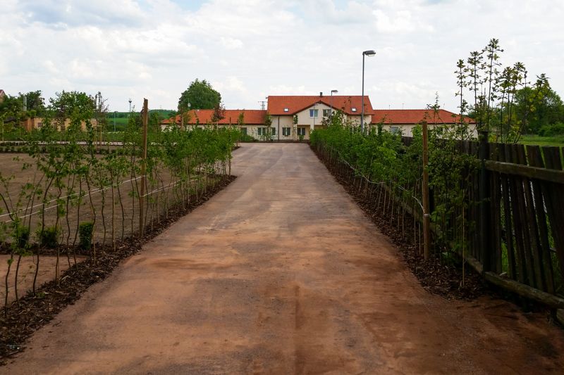 Zámecký park v Luštěnicích, revitalizace zahrady.